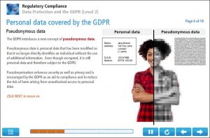 Data Protection and the GDPR (Level 2) Online Training Screenshot 2