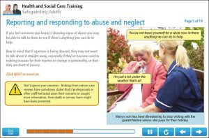 Safeguarding Adults Example Screenshot 3