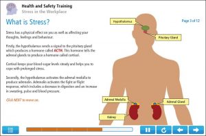Stress in the Workplace Online Training Screenshot 1